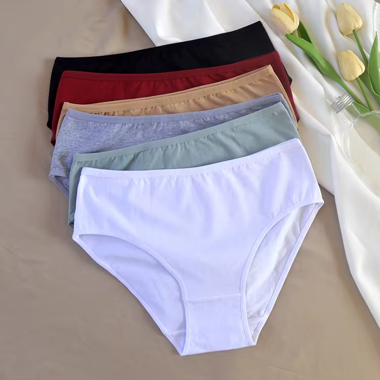Custom Plus Size Panty Factory In Bangladesh
